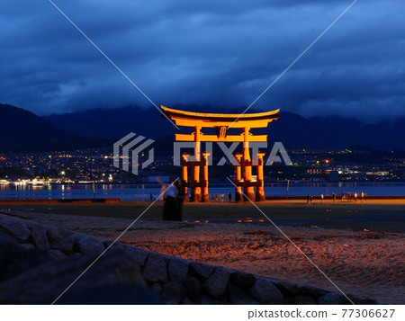 Itsukushima Shrine / Night view 77306627