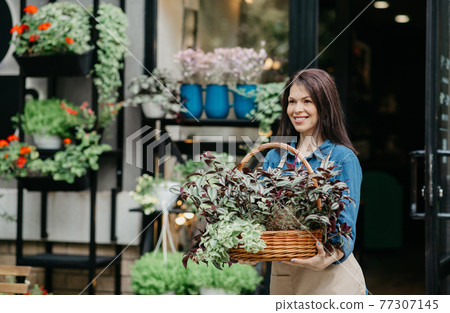 Working in flower store and taking care of plants outdoor 77307145