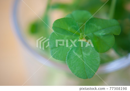 Icon auto alignment background wallpaper Icon auto alignment background wallpaper 77308198