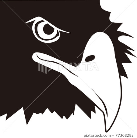 eagle 77308292