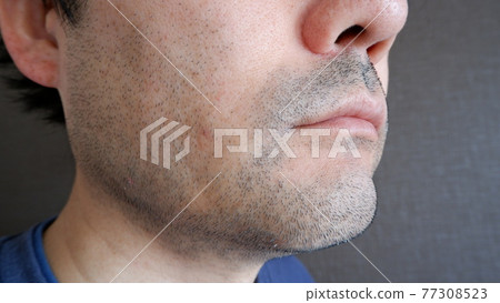 Middle-aged man's beard Middle-aged man's beard 77308523