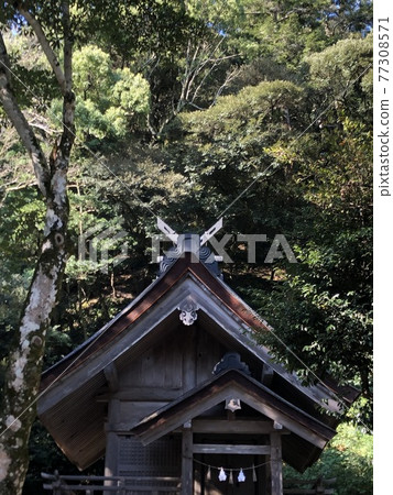 << Izumo Taisha Sogano Yashiro >> (Izumo City, Shimane Prefecture) << Izumo Taisha Sogano Yashiro >> (Izumo City, Shimane Prefecture) 77308571