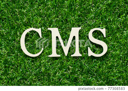 Wood alphabet letter in word CMS (Abbreviation of Content management system) on green grass background 77308583