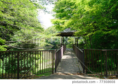 千葉縣船橋市小室公園新綠 77308608