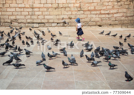 Little girl amid the Hungry flock  of pigeons feeding in the street 77309044
