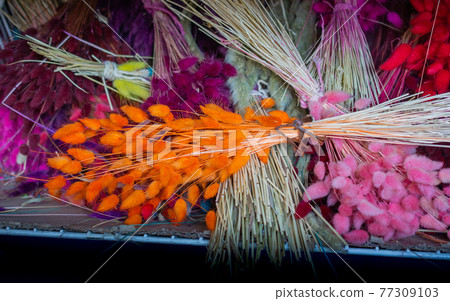 Colorful dyied dried wild flowers for doceration 77309103