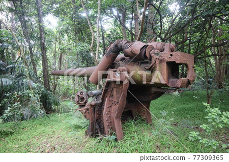 Battlefield of Chichijima High-angle gun on Mt. Coffee Battlefield of Chichijima High-angle gun on Mt. Coffee 77309365