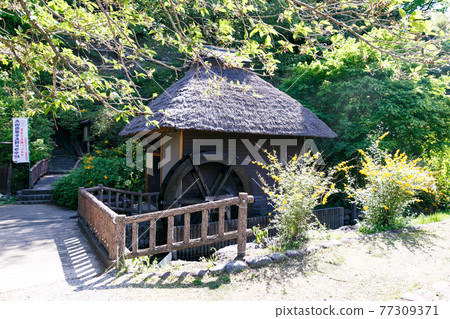 Saitama Prefecture Ikukoshi Town Historic Site Yamabuki no Sato 77309371