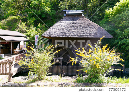 Saitama Prefecture Ikukoshi Town Historic Site Yamabuki no Sato 77309372