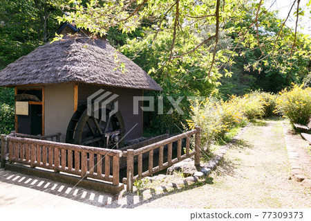 Saitama Prefecture Ikukoshi Town Historic Site Yamabuki no Sato 77309373