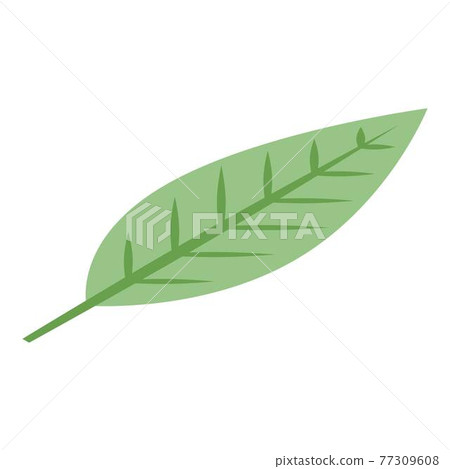 Mangosteen leaf icon, isometric style Mangosteen leaf icon, isometric style 77309608