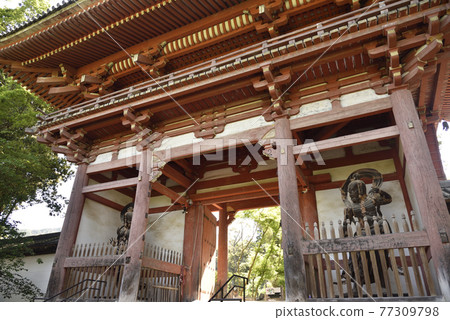 Da-寺 Da-寺 77309798