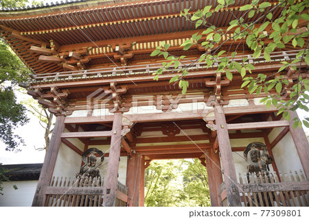 Da-寺 Da-寺 77309801