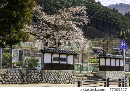 鳥取縣矢津區赤頭町赤頭小學 鳥取縣矢津區赤頭町赤頭小學 77309827