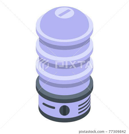 Professional steamer icon, isometric style Professional steamer icon, isometric style 77309842