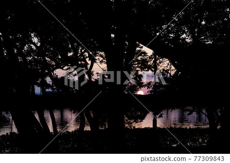 加葉井町公園的日落 加葉井町公園的日落 77309843