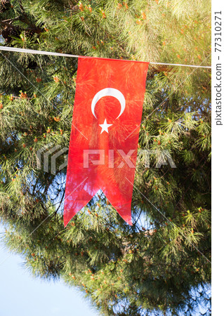 Turkish national flag on a string in view 77310271