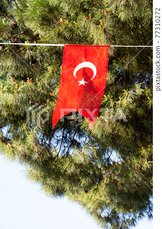Turkish national flag on a string in view 77310272