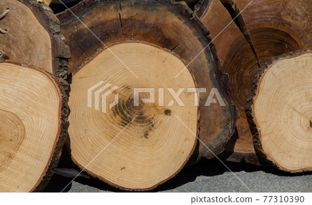 Small piece of cut wood logs 77310390