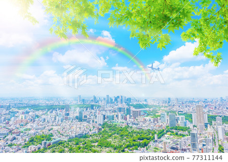 Sunny Tokyo cityscape after the rain 77311144