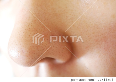 鼻孔(輪廓) 鼻孔(輪廓) 77311301