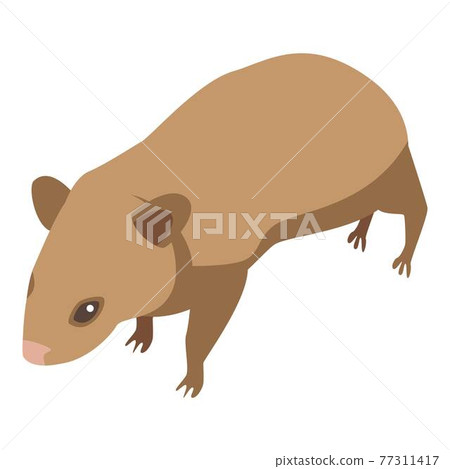 Little mice icon, isometric style Little mice icon, isometric style 77311417