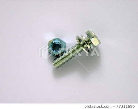 Bolt and nut 77311690