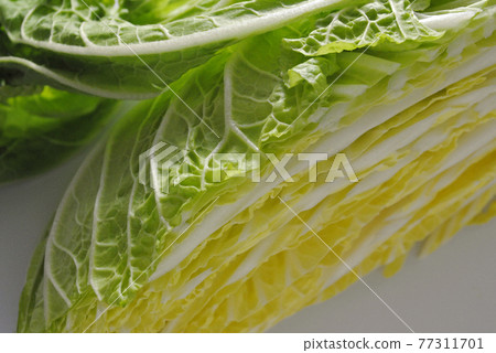 中國的白菜 77311701