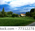 Grazing landscape in Arles, France 77312278