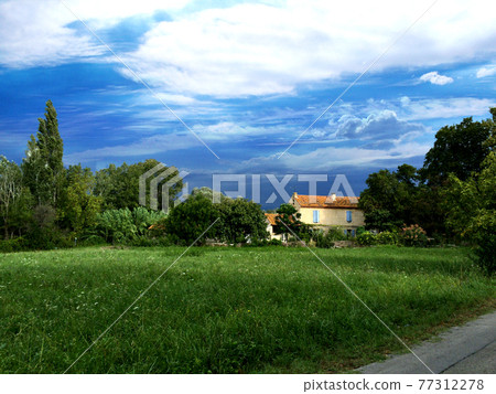 Grazing landscape in Arles, France 77312278