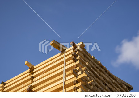 Storage of piles of wooden boards on the sawmill. Boards are stacked in a carpentry shop. Sawing drying and marketing of wood. Pine lumber for furniture production, construction. Lumber Industry. 77312296