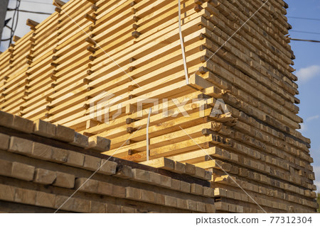 Storage of piles of wooden boards on the sawmill. Boards are stacked in a carpentry shop. Sawing drying and marketing of wood. Pine lumber for furniture production, construction. Lumber Industry. 77312304