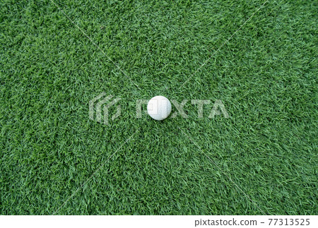 Golf ball with green grass field in golf court. Outdoor sport and recreation activity. Lifestyle Golf ball with green grass field in golf court. Outdoor sport and recreation activity. Lifestyle 77313525