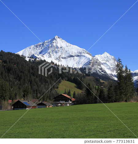 Snow covered mountains Spitzhorn und Arpelistock. Snow covered mountains Spitzhorn und Arpelistock. 77313631