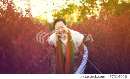 Asian senior woman smile happy in red flower field happy leisure retirement lifestyle Asian senior woman smile happy in red flower field happy leisure retirement lifestyle 77314026