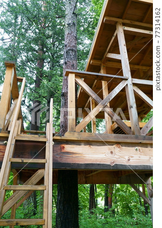 Tree house in the forest 77314162