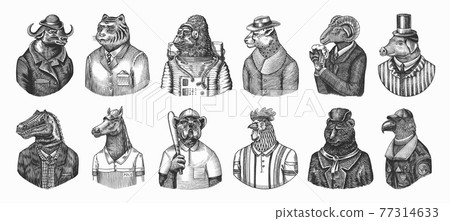 Gorilla monkey astronaut. Eagle aviator pilot Rooster Dinosaur Pig Tiger Bear Sheep Buffalo Bull 77314633