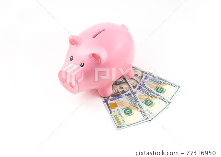 piggy bank figures and dollar bills on a white background. The concept of thrift and saving money piggy bank figures and dollar bills on a white background. The concept of thrift and saving money 77316950