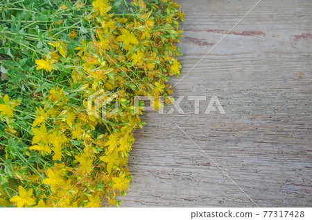 Hypericum perforatum on a wooden table Hypericum perforatum on a wooden table 77317428
