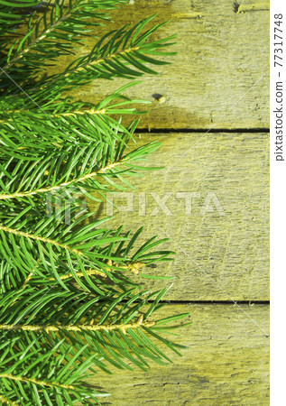 Christmas fir tree on the wood 77317748