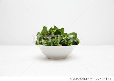 White deep plate with mint stands on a white table against a white wall. Green fresh mint is very much. Add mint to your tea White deep plate with mint stands on a white table against a white wall. Green fresh mint is very much. Add mint to your tea 77318145