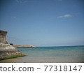 Walking around the sandy beaches of Okinawa 77318147