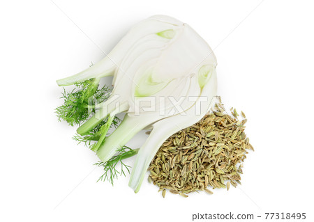 fresh fennel bulb with seed isolated on white background with clipping path and full depth of field. Top view. Flat lay 77318495