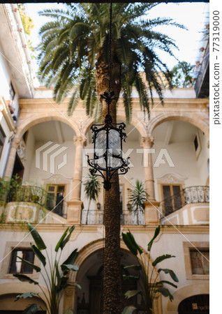 Italian courtyard with palm tree Italian courtyard with palm tree 77319000