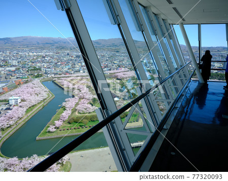 Goryokaku 77320093