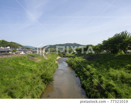 河床和河流景觀與植被 河床和河流景觀與植被 77321019