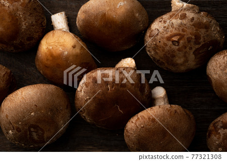 Shiitake Shiitake 77321308