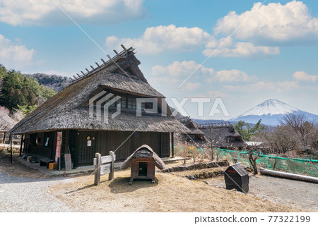 “山梨縣”西湖療愈村 77322199