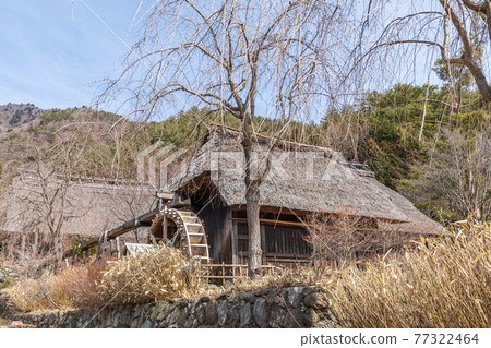 “山梨縣”西湖療愈村 77322464