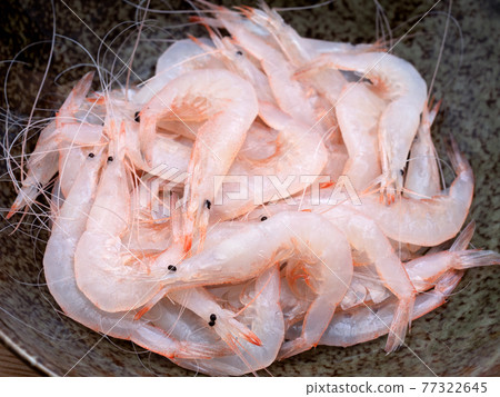 Glass shrimp for sashimi 77322645